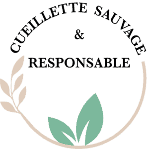 Tisanes et infusion bio issues de la cueillette sauvage en france | Mana Bella - Tisanes et Infusion bio d'exception