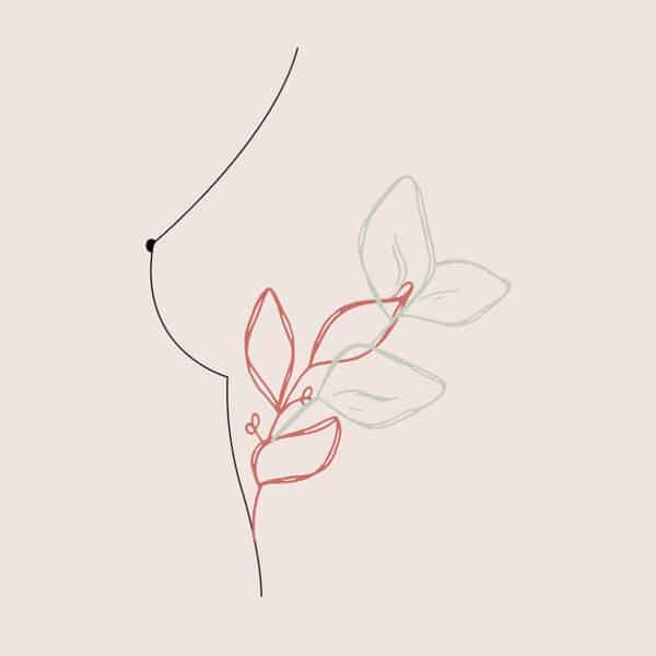 Infusion, tisane, bien-être, femme, santé, plantes médicinales , bio, Mana Bella