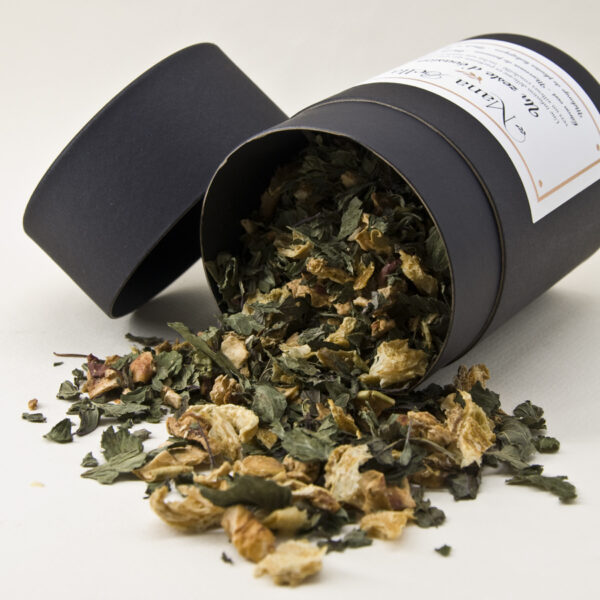 infusion bio Un Zeste d'Évasion citron vert, pomme et menthe poivrée